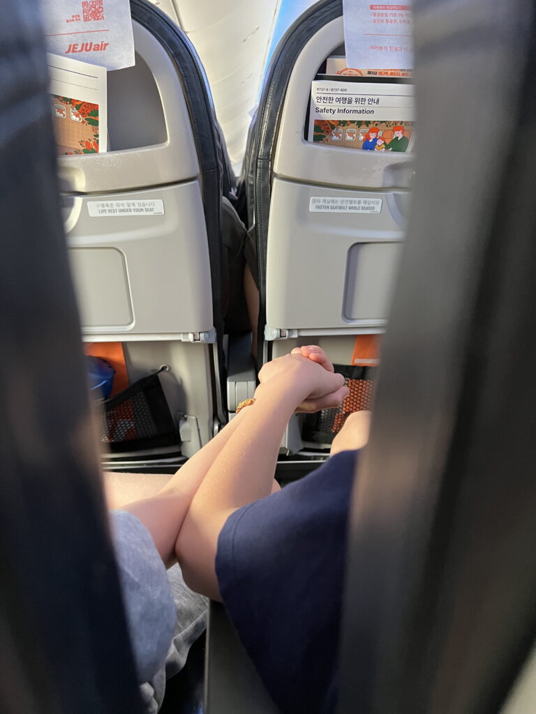 10 tips voor het vinden van goedkope vluchten naar Japan – Kitsune Travel Bo en Mees in vliegtuig