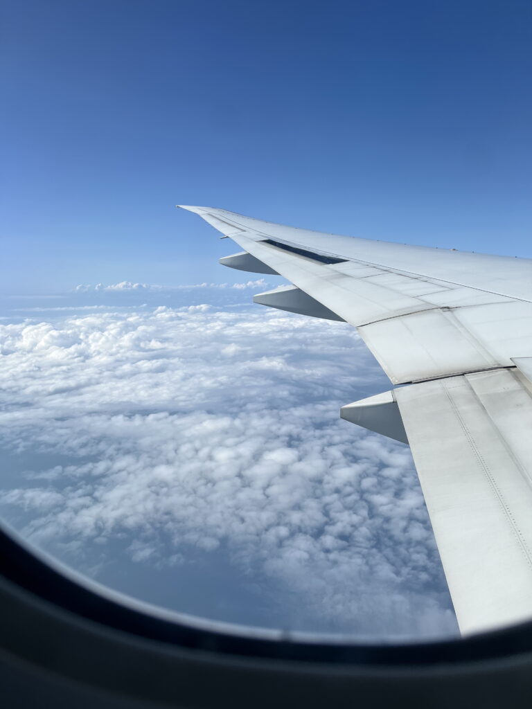 10 tips voor het vinden van goedkope vluchten naar Japan – Kitsune Travel Vliegtuig
