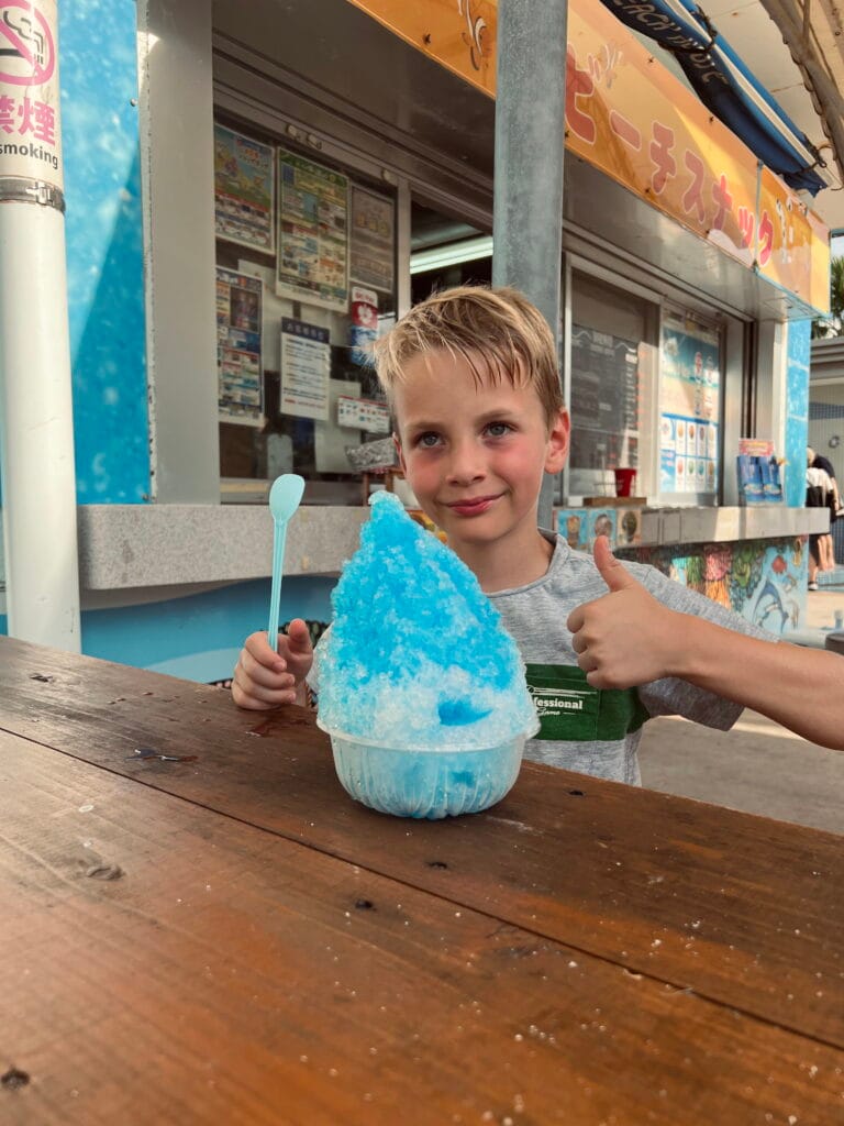 6 Eigenschappen van Japan in de zomer – Kitsune Travel Mason aan de Kakigori
