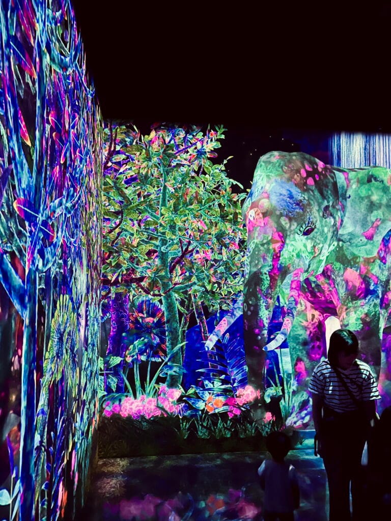 Fukuoka met kinderen – Kitsune Travel teamLab Fukaoaka