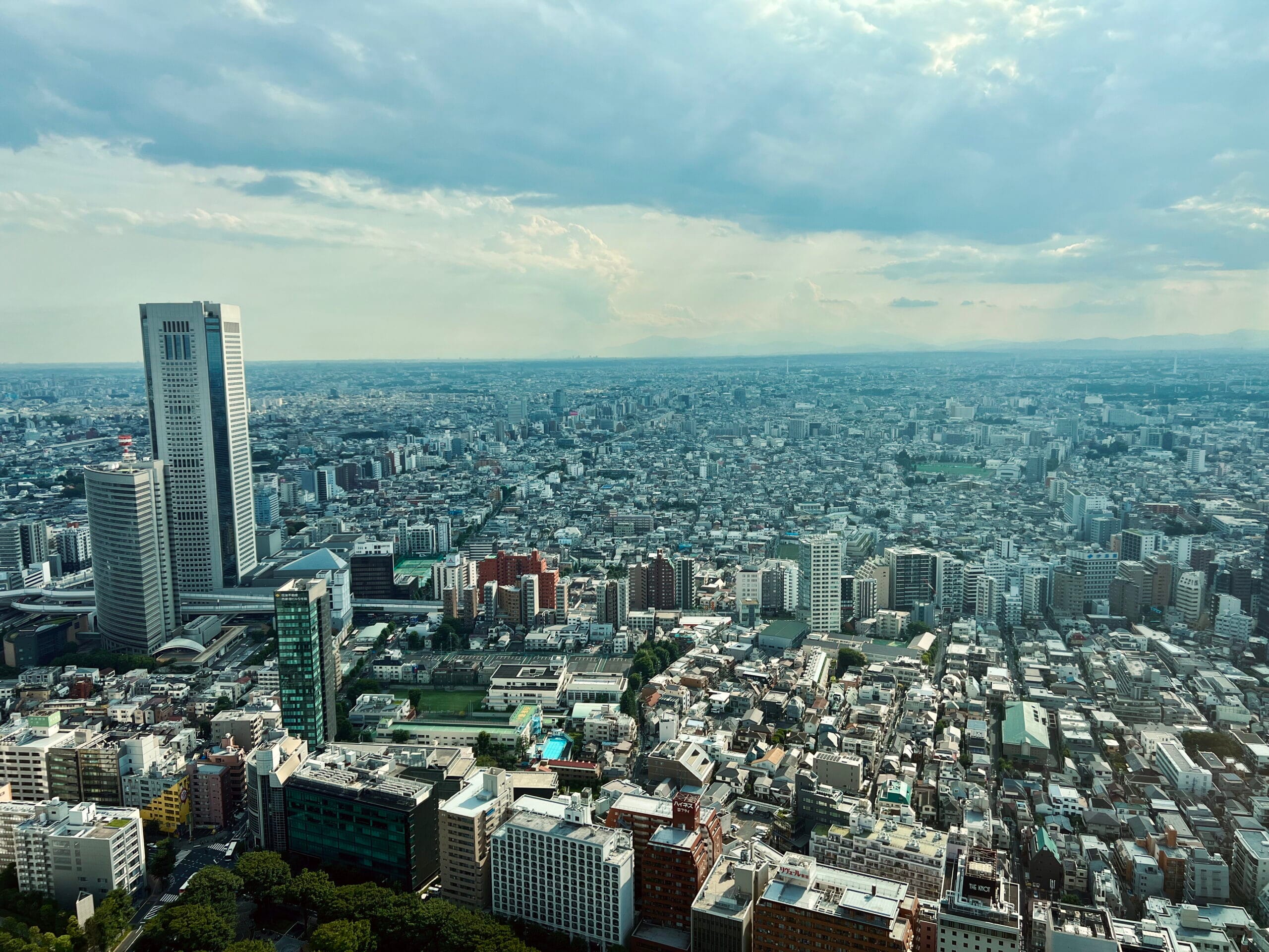 Tokyo met kinderen – Kitsune Travel Tokyo van boven