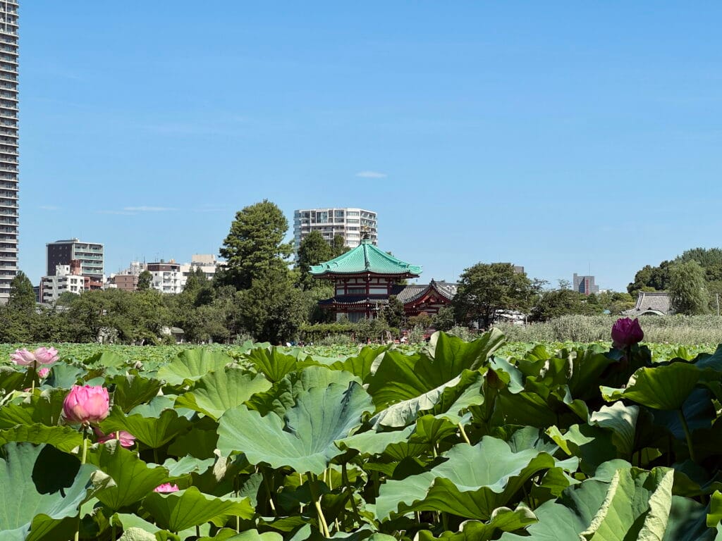 8 dagen in Tokyo – Kitsune Travel Ueno Park