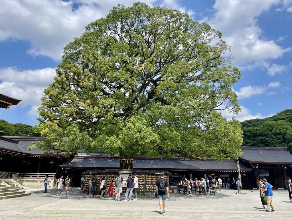 Meiji Jingu in Tokyo