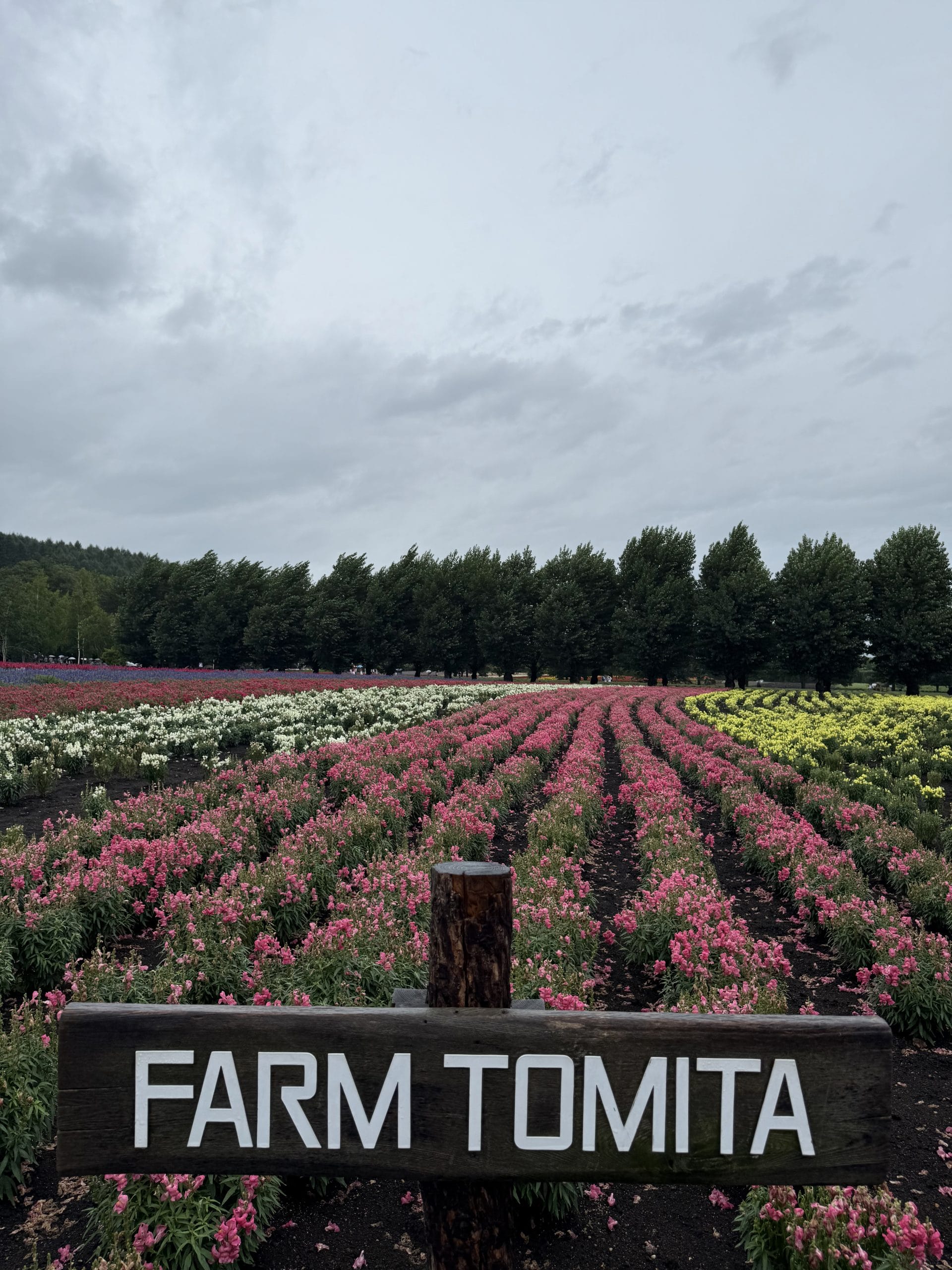 Farm Tomita