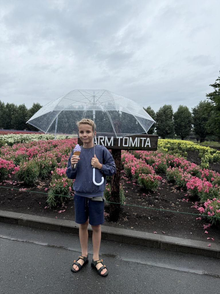 Farm Tomita2