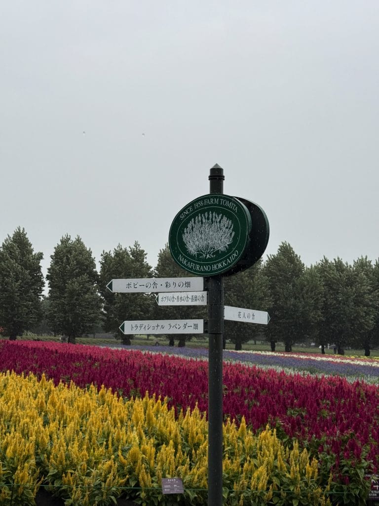 Farm Tomita3