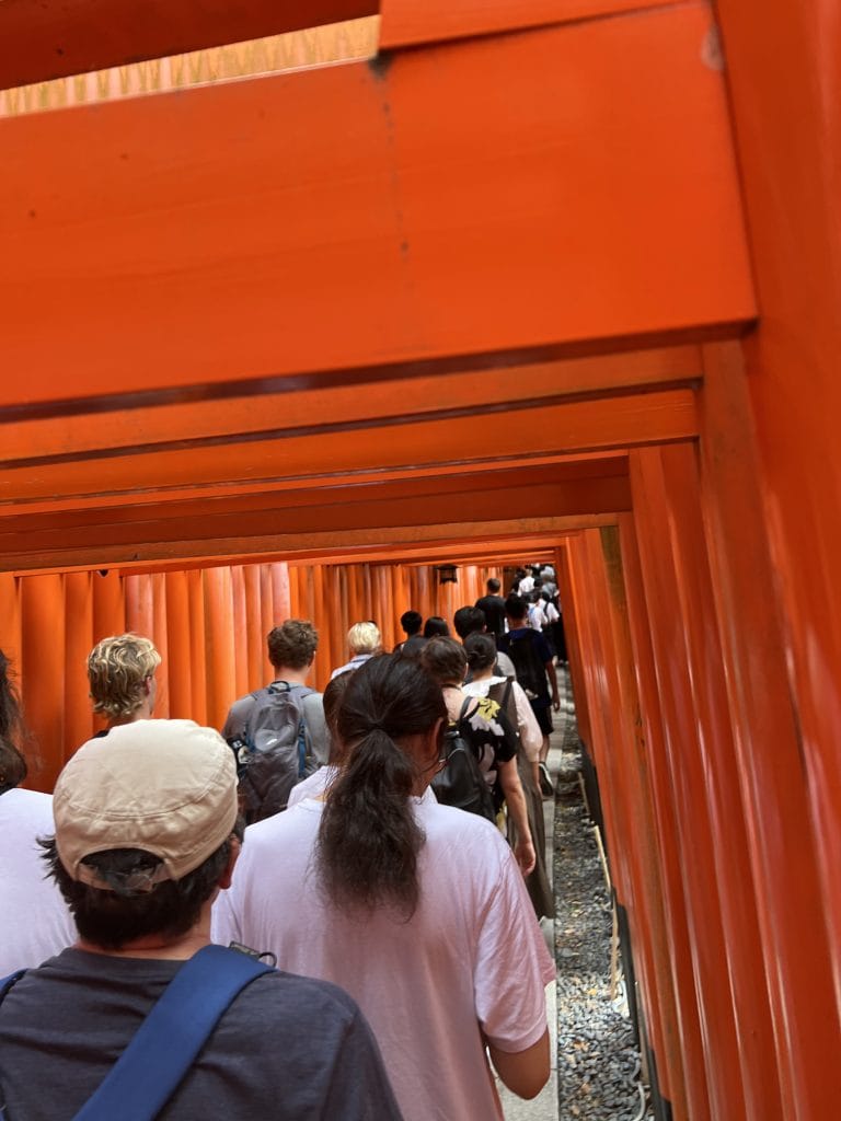 Groepsreis Japan: is een georganiseerde reis iets voor jou? – Kitsune Travel Fushimi Inari - group tour