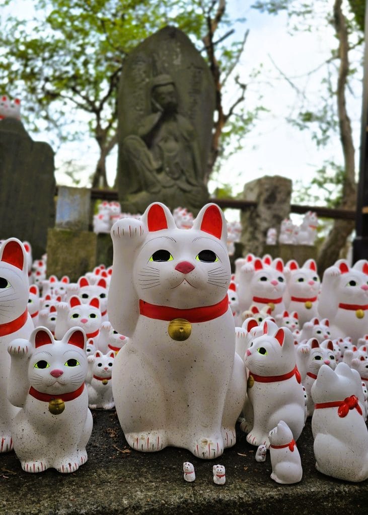Gōtokuji: de kattentempel van Tokyo, waar de maneki-neko vandaan komt – Kitsune Travel kattentempel tokyo