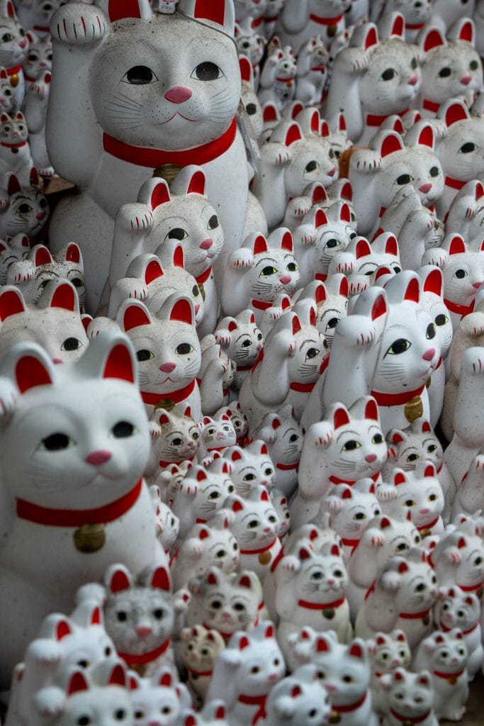 Gōtokuji: de kattentempel van Tokyo, waar de maneki-neko vandaan komt – Kitsune Travel Gotokuji3