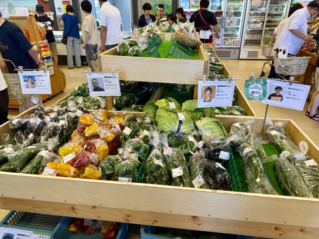 Met de camper door Japan: dit moet je weten over camperen en michi-no-eki – Kitsune Travel Local farm shop by a michi-no-eki