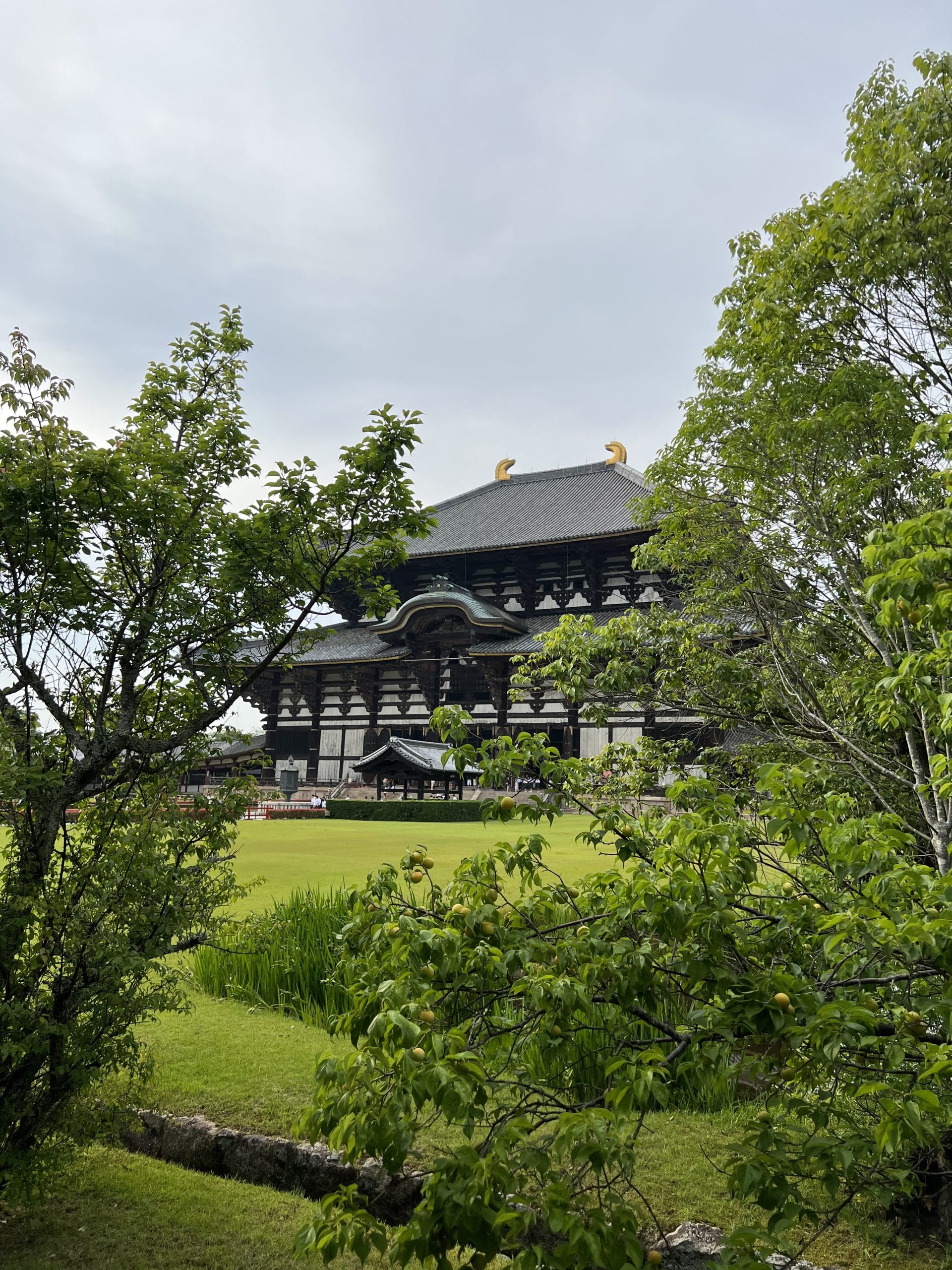 Nara Todai ji7 scaled