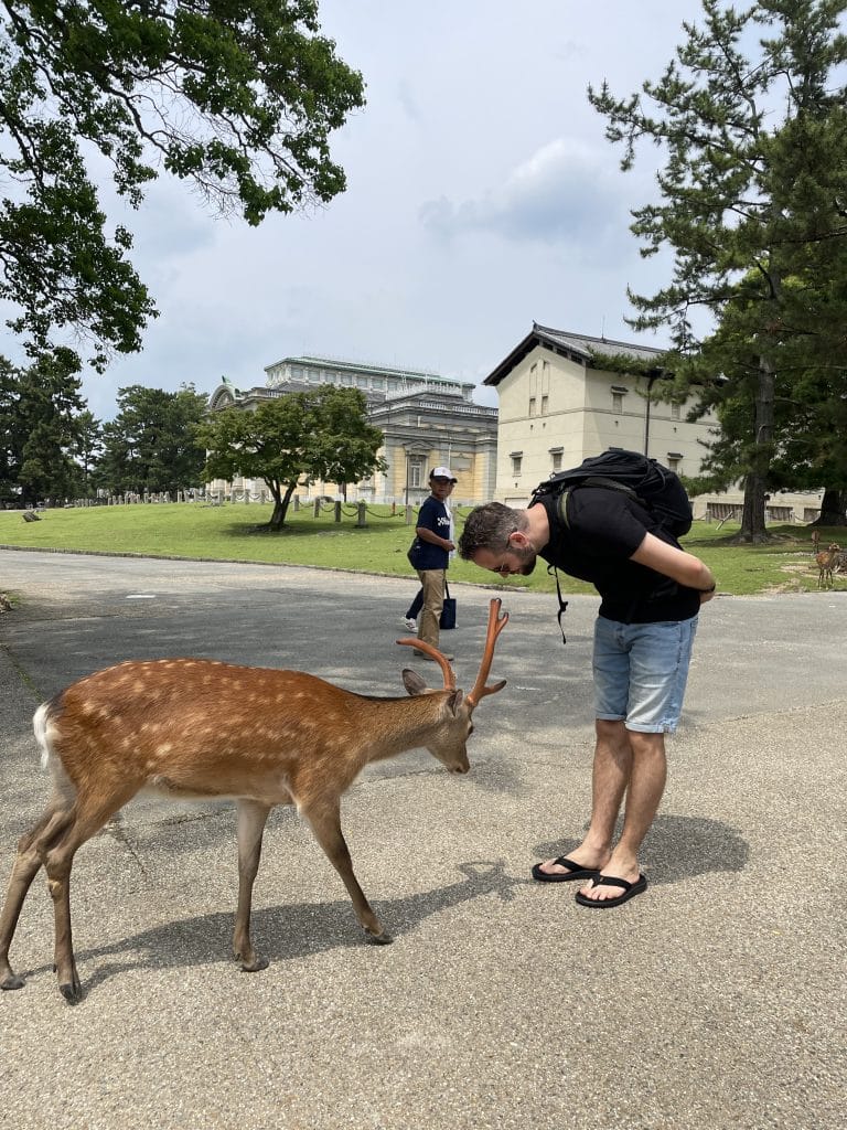 Japan met kinderen: 10 ervaringen die je niet mag missen op je rondreis – Kitsune Travel Nara buigende hert