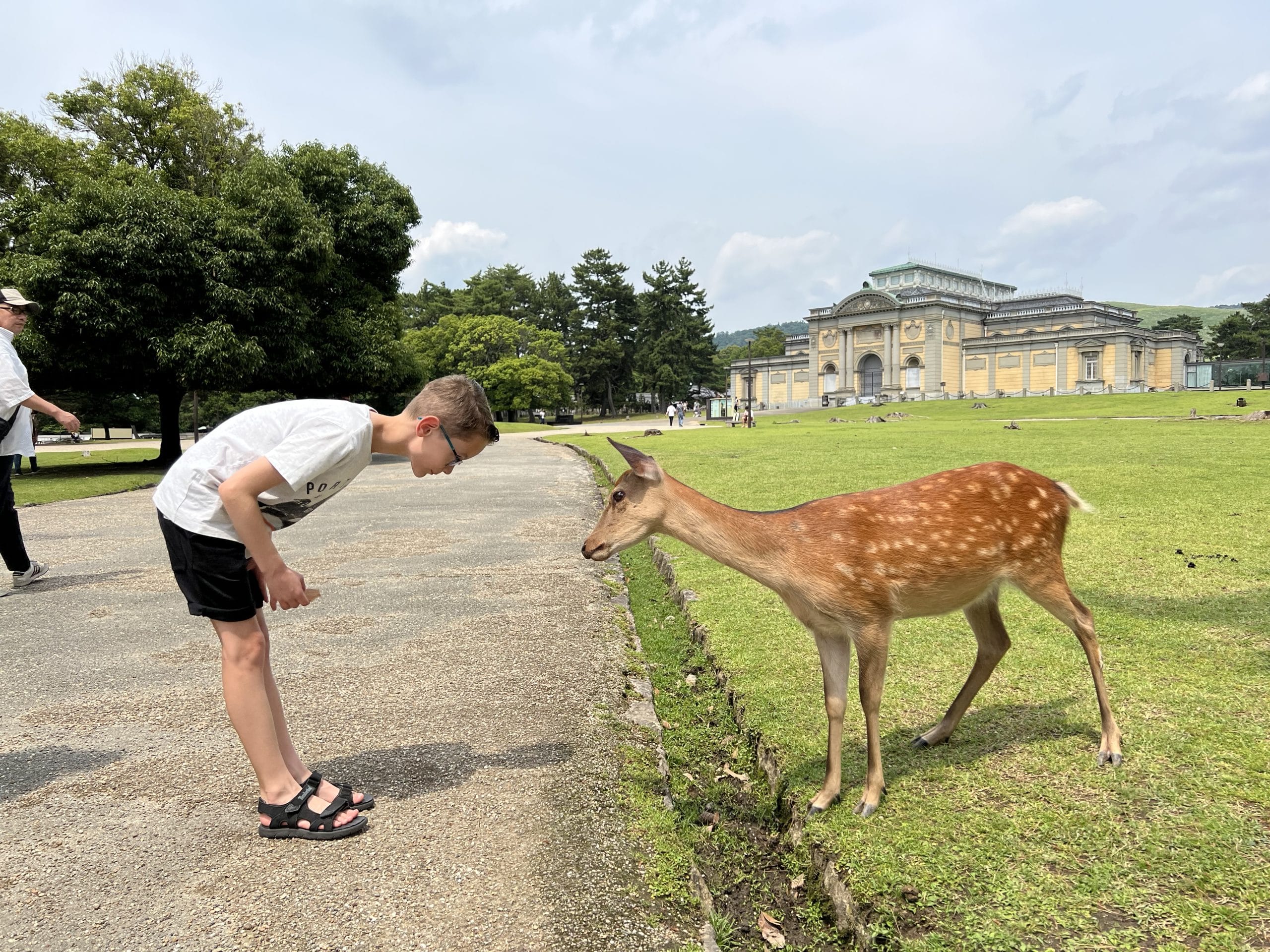 Buigend hert