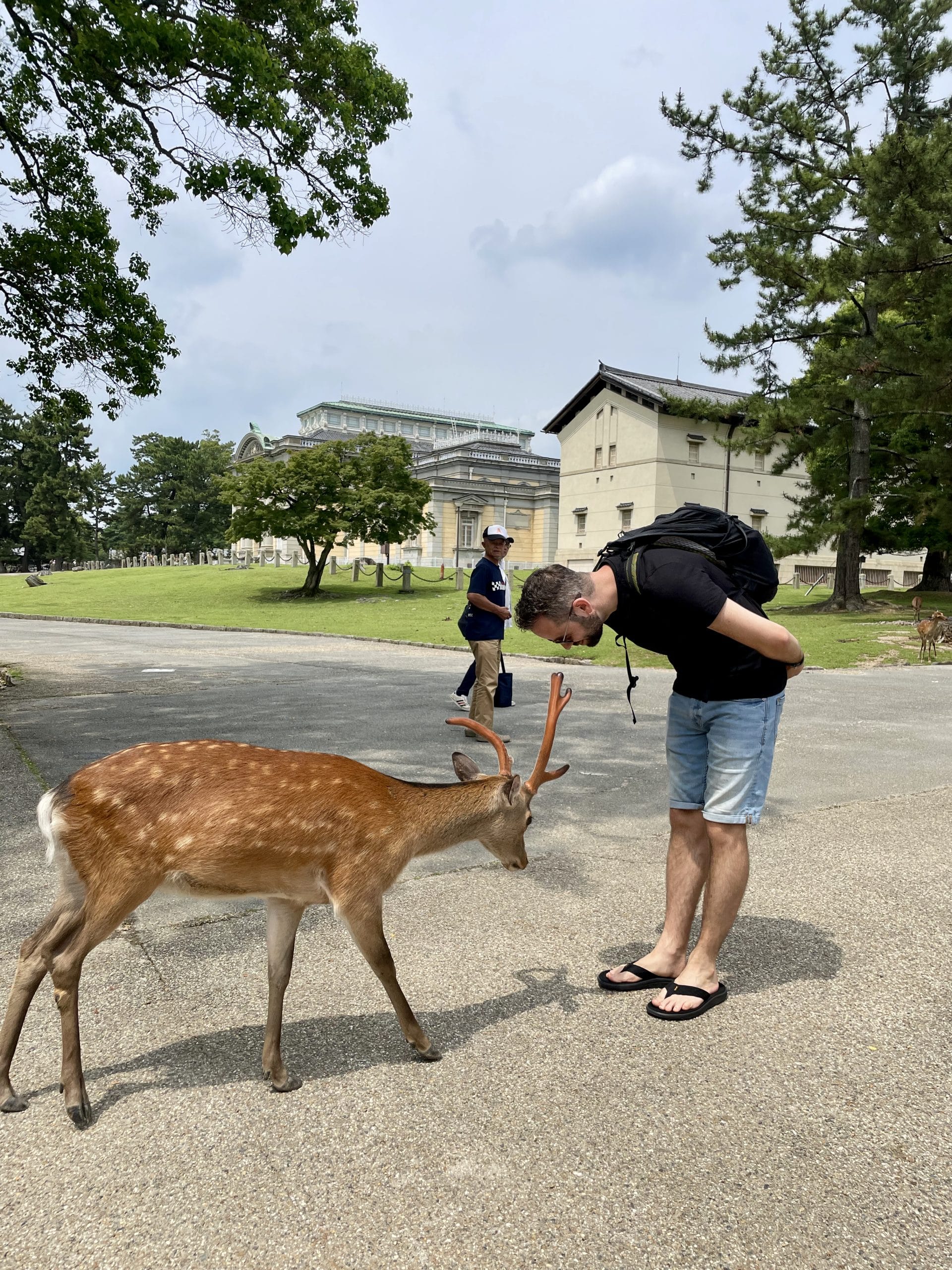 Nara park