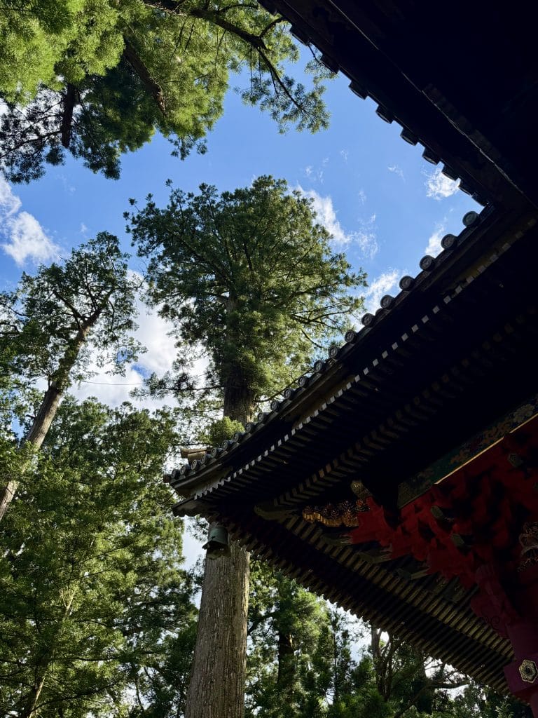 Groepsreis Japan: is een georganiseerde reis iets voor jou? – Kitsune Travel groepsreis Japan