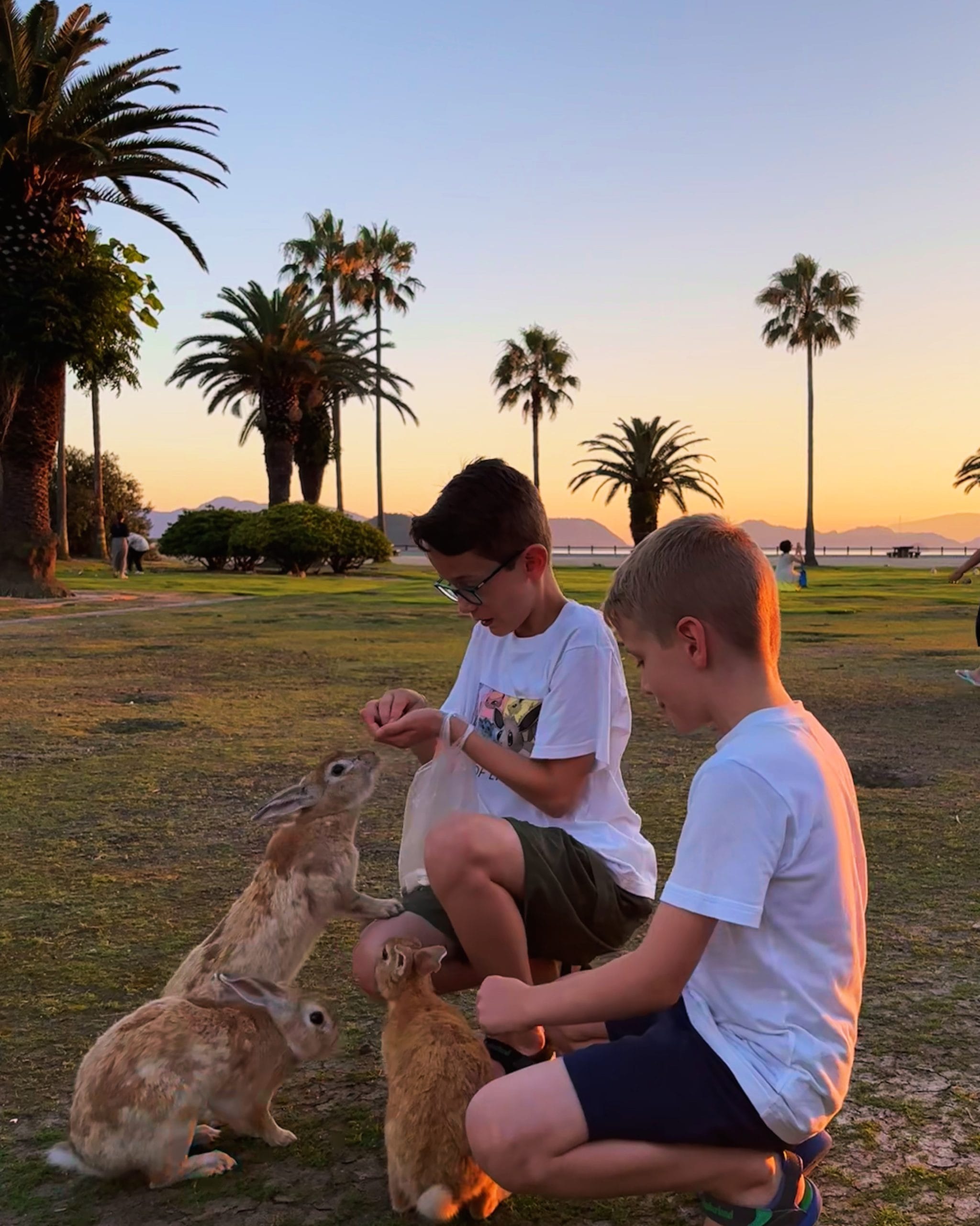 Okunoshima: Konijneneiland met kinderen – Kitsune Travel Okunoshima7 scaled
