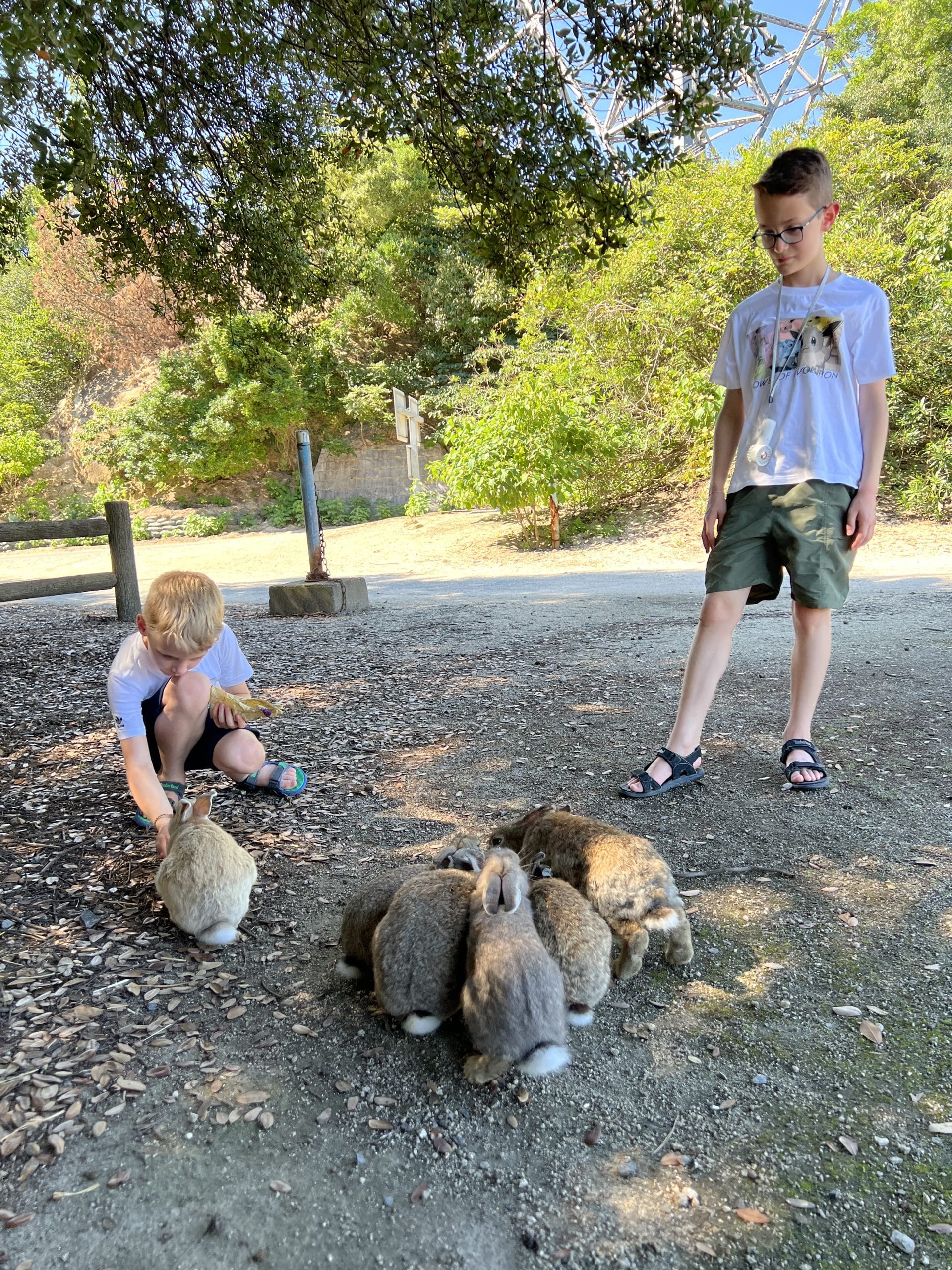 Okunoshima: Konijneneiland met kinderen – Kitsune Travel Okunoshima9 scaled