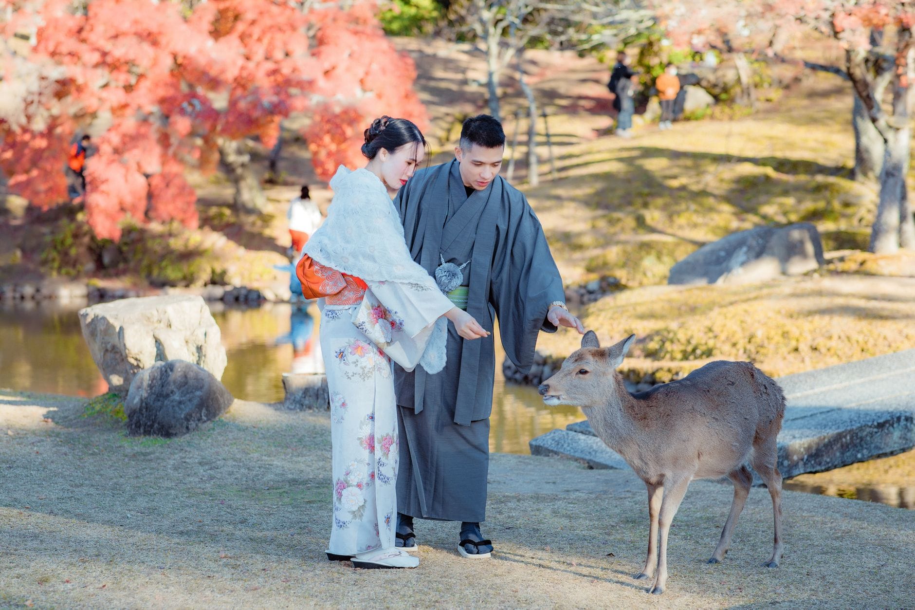 Een echtpaar in traditionele Japanse kleding voert een vriendelijk hert in een serene parkomgeving tijdens de herfst.