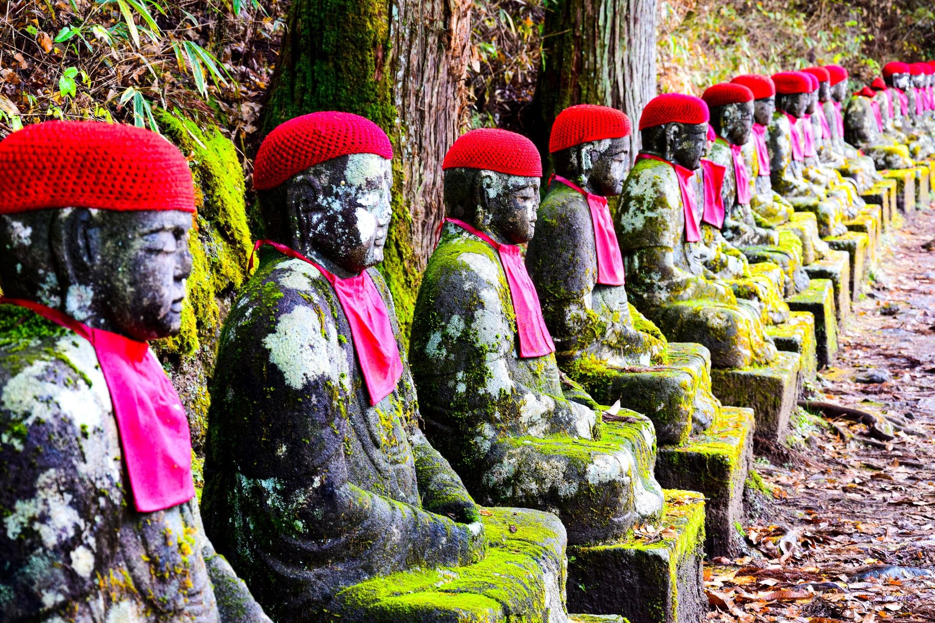 Nikko met kinderen – Kitsune Travel Een rij met mos bedekte Jizo-beelden met rode mutsen in de Kanmangafuchi-afgrond in Japan, die vrede en bescherming symboliseren.