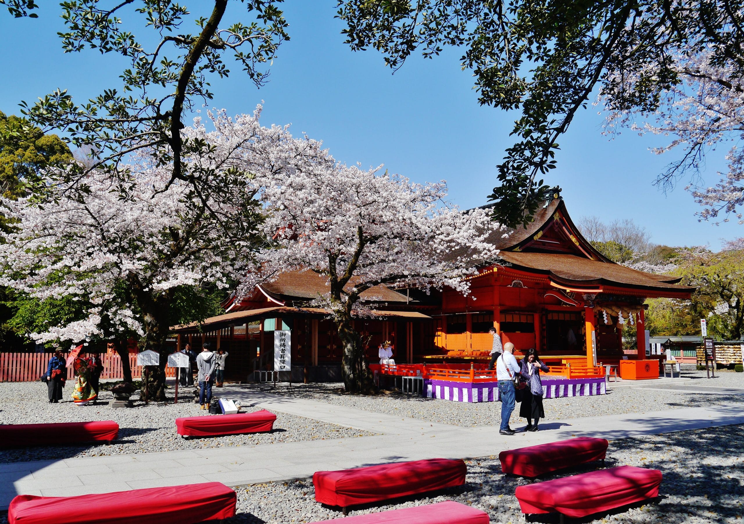 Fujinomiya_Fujisan_Hongu_Sengen-taisha_Sakura_&_Hauptschrein