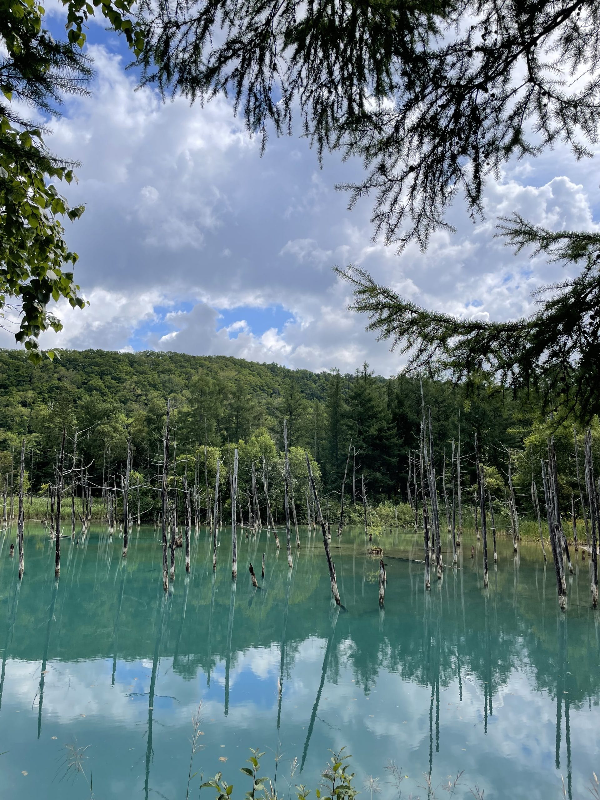 Hokkaido met kinderen – Kitsune Travel Hokkaido - Blue lake