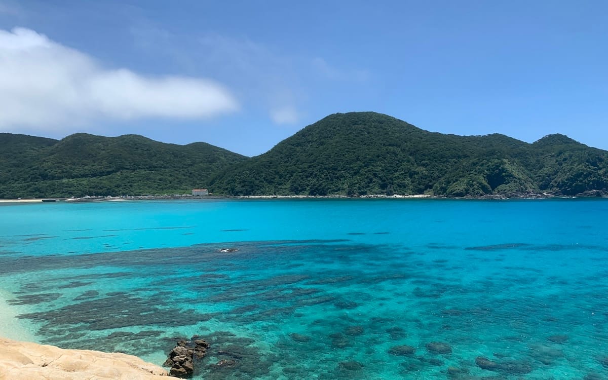 Okinawa met kinderen – Kitsune Travel Okinawa Kerama eilanden koraal