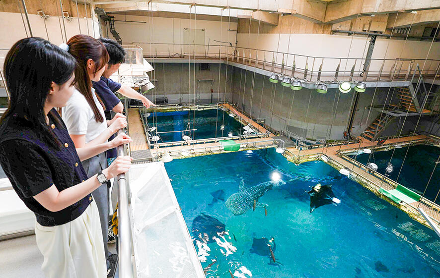 Osaka Aquarium Kaiyukan