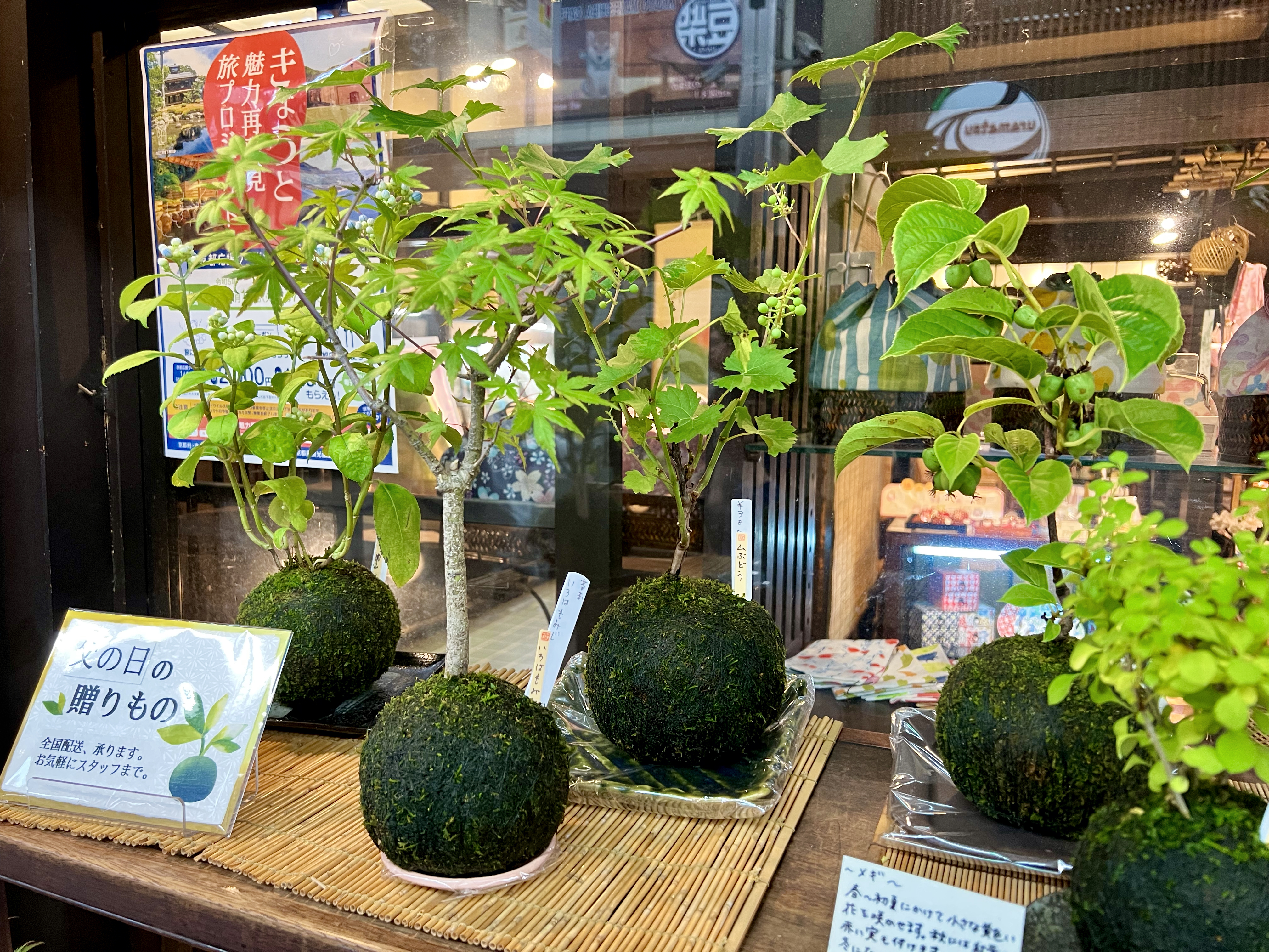 Teramachi en Shinkyogoku