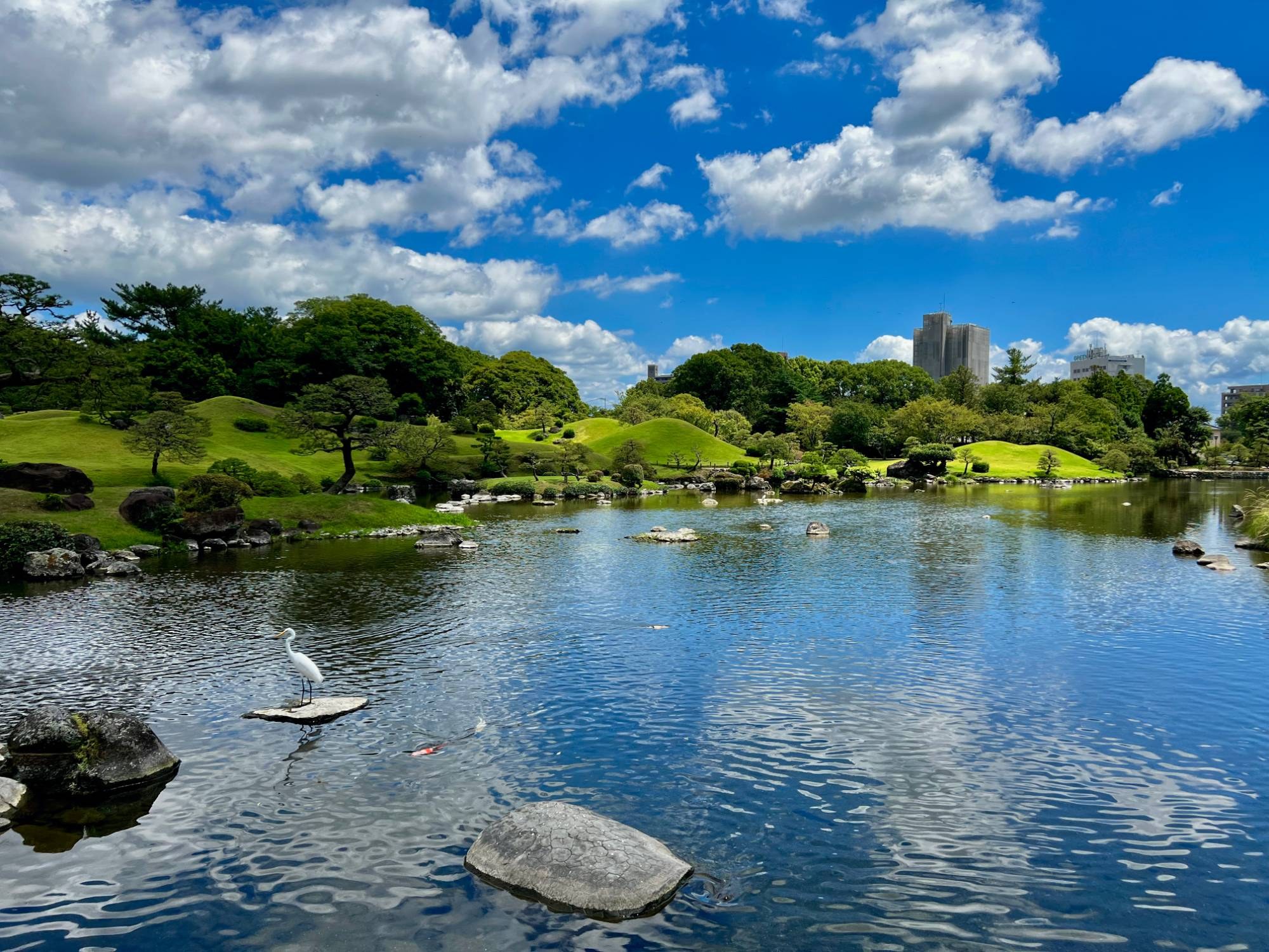 Japan in de schoolvakantie: een Japanse tuin met een vijver, een witte reiger op een steen en groene heuvels onder een blauwe lucht