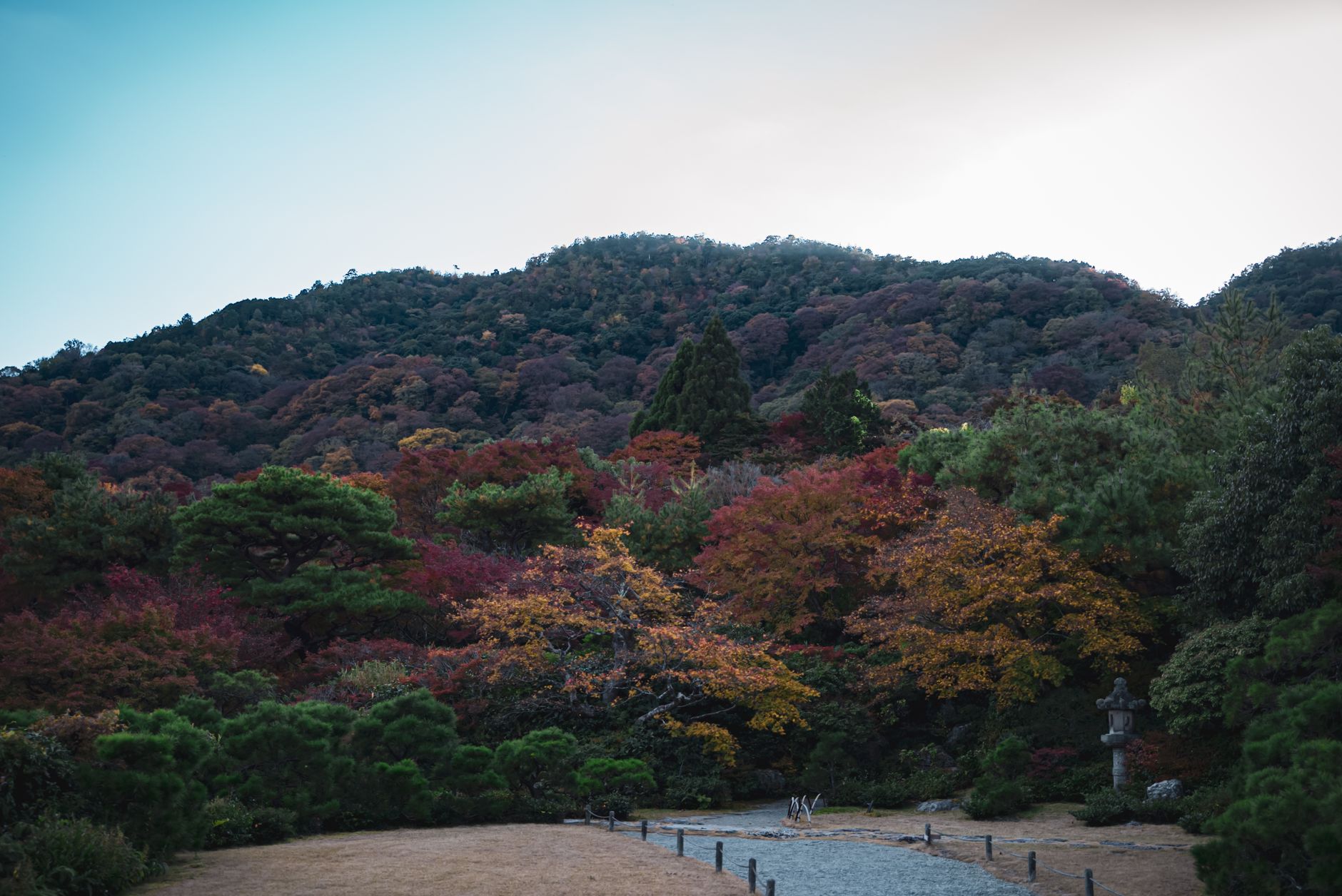Ervaar de verstilde schoonheid van een tuin in Kyoto tijdens de herfst, waar levendige herfstkleuren afsteken tegen een bergachtig decor.
