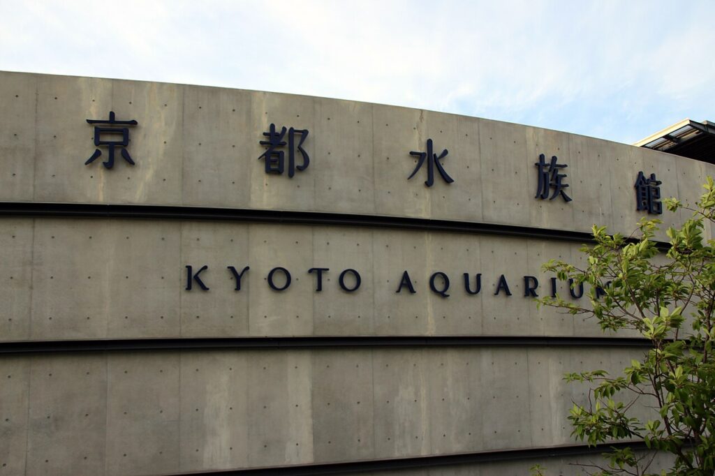 Een school vissen in het Kyoto Aquarium