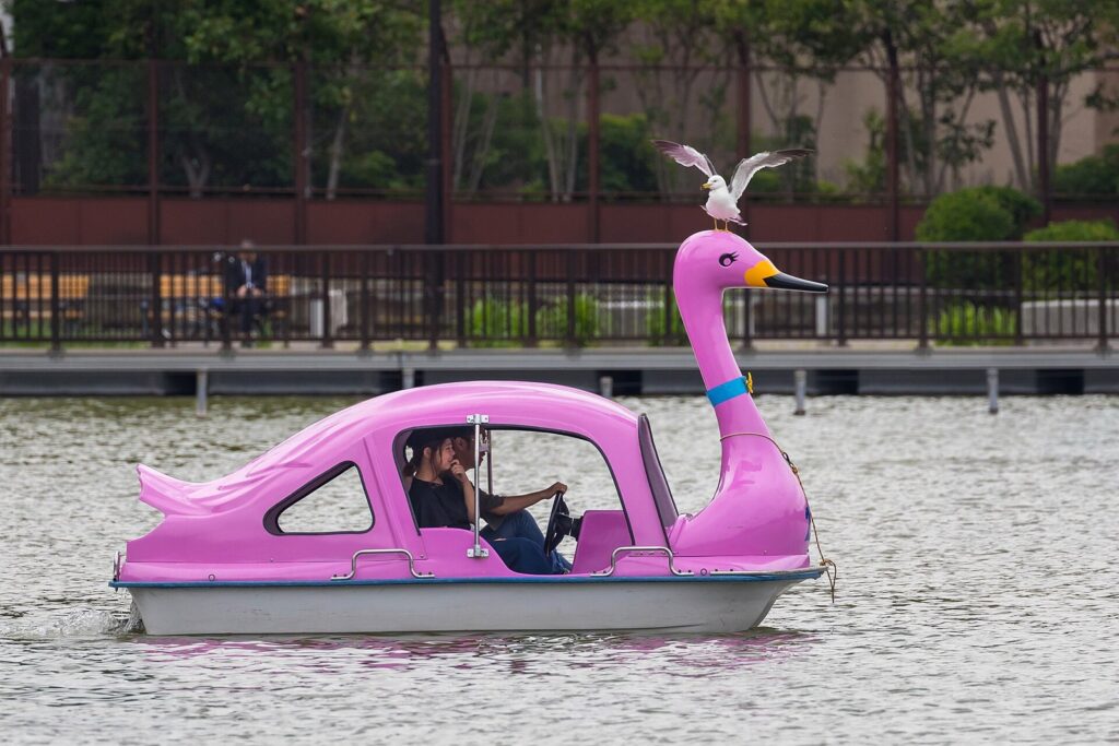 Roze zwanenboot met een meeuw op de kop op de Shinobazu-vijver in Ueno Park