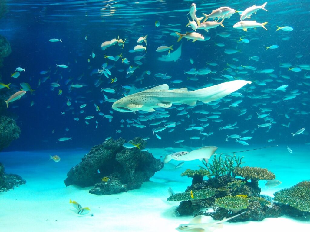 Haai en scholen vissen in het grote bassin van Sunshine Aquarium in Ikebukuro